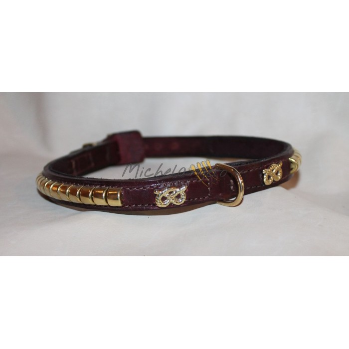 Staffordshire Bull Terrier collar