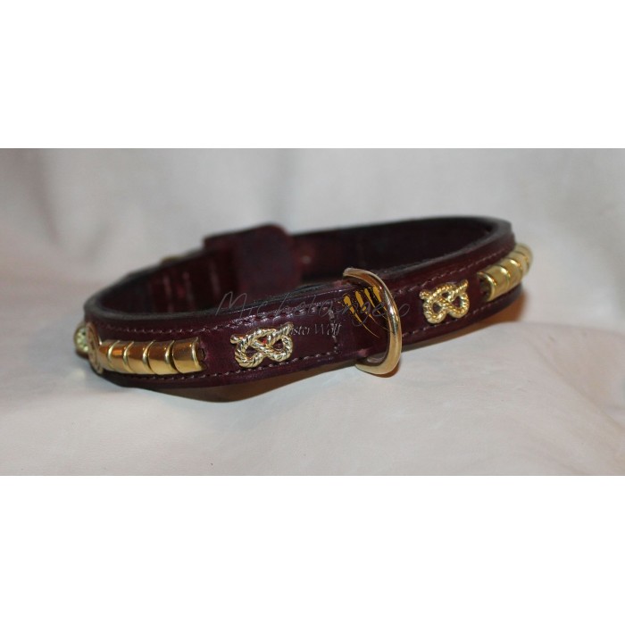 Staffordshire Bull Terrier collar