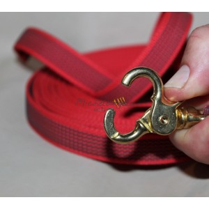 rubberized nylon long leash