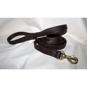 Leash for catch dogs