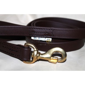 Leash for catch dogs