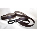 Collar and leash in Biothane