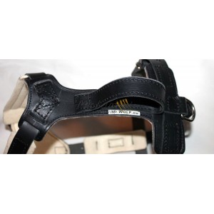 Taurus Harness for training