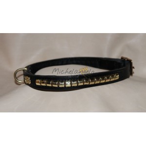 Staffordshire Bull Terrier collar