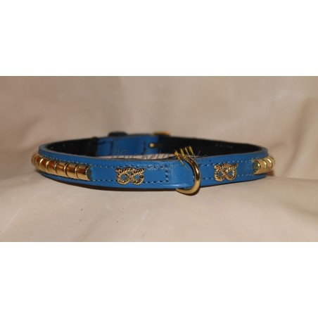 Staffordshire Bull Terrier collar