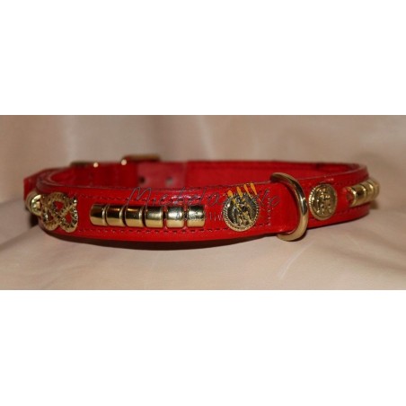 Staffordshire Bull Terrier collar